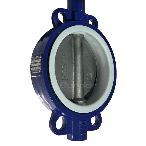 Worm Gear PTFE Seat Butterfly Valve3